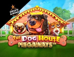 the dog house megaways